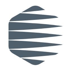 Logo GSF